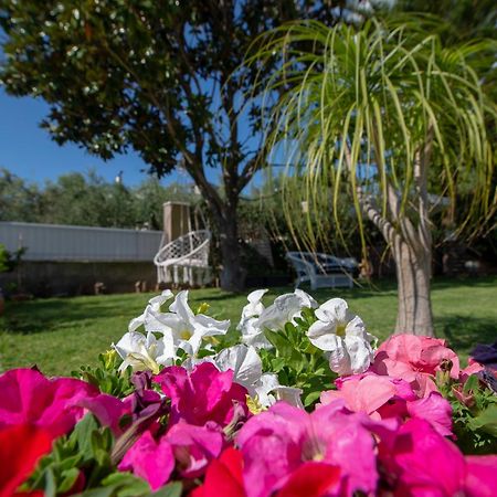 Le Jardin Apartment Kalamata Ngoại thất bức ảnh