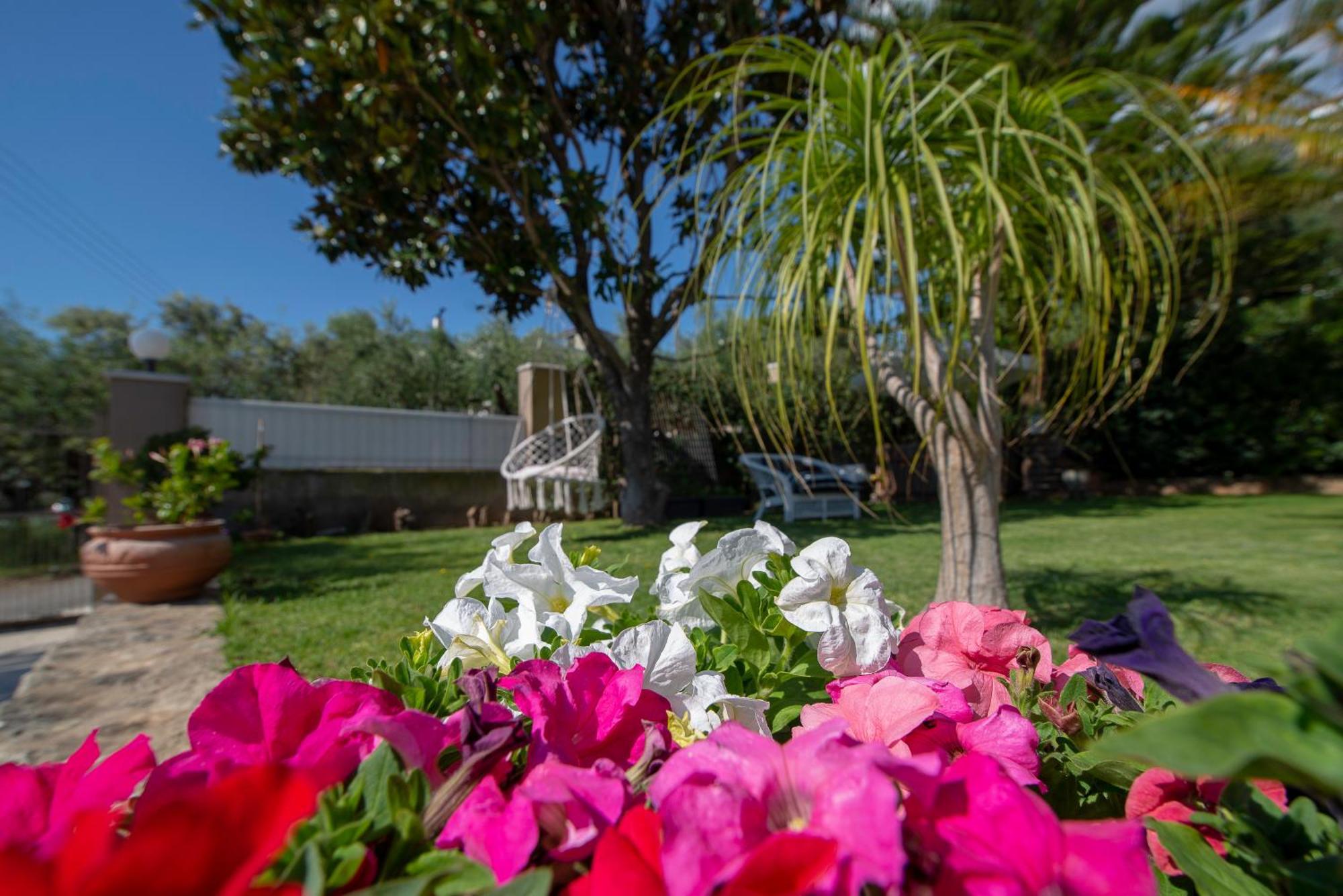 Le Jardin Apartment Kalamata Ngoại thất bức ảnh